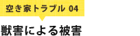 空き家トラブル 04 獣害による被害