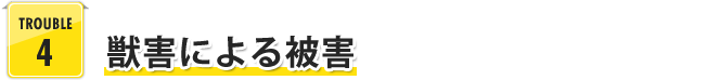 TROUBLE 4 獣害による被害